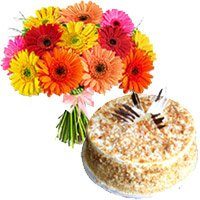 Birthday Cake to Jammu Same Day Delivery - Gerbera Flowers Bouquet to Jammu