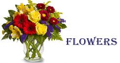 Send Flowers to Jammu