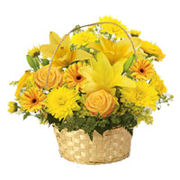 Online Flower and Cake Delivery in Jammu