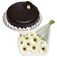 Cakes to Jammu Online containing White Gerbera 1 Kg Chocolate Truffle Cake in Jammu