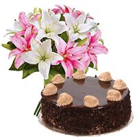 Cake and Flower Delivery in Jammu - Chocolate Cake From 5 Star
