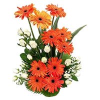 Deliver Flowers to Jammu