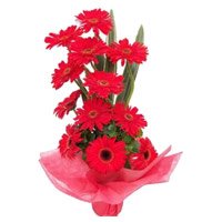 Same Day Flowers Delivery to Jammu