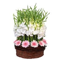 Flowers to Jammu Same Day Delivery