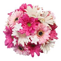 Send Flowers to Jammu