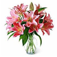 Flowers to Jammu Same Day Delivery