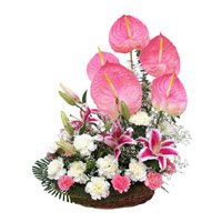 Order Flower to Jammu - Anthurium Basket