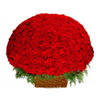 Best Flowers to Jammu Same Day Delivery